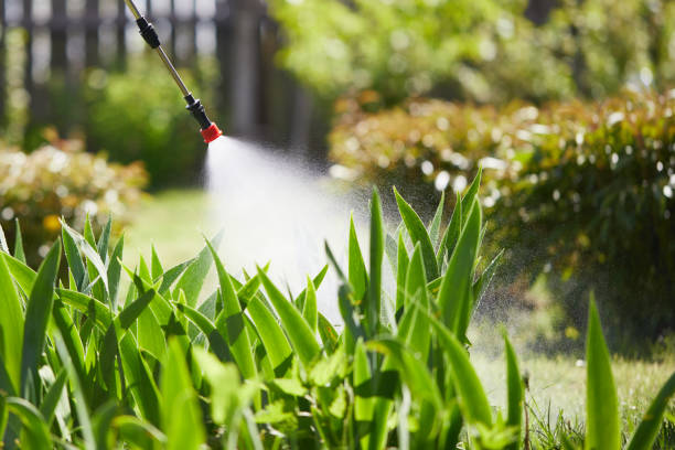 24/7 Emergency Termite Control experts in St. James, MN