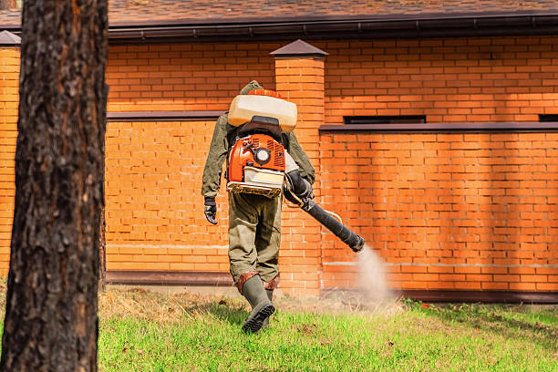 Top rated local Termite Control specialists in St. James, MN